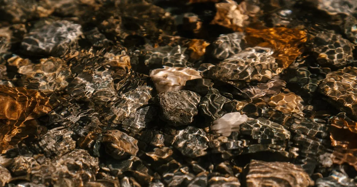 Zdjęcie Właściwości zeolitu Vita Pure – co warto wiedzieć o tym minerale?