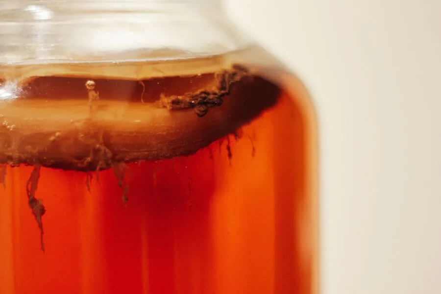 Zdjęcie Kombucha - gdzie kupić i jak samodzielnie zrobić zdrowy napój?