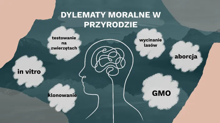 Zdjęcie Czy wibrator w małżeństwie to grzech? Perspektywa religijna i moralne dylematy