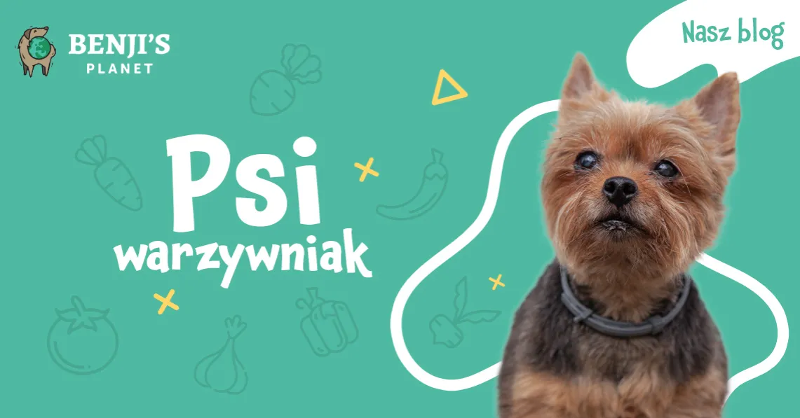 Zdjęcie Czy psy mogą jeść śliwki? Bezpieczeństwo, zasady i skutki zdrowotne