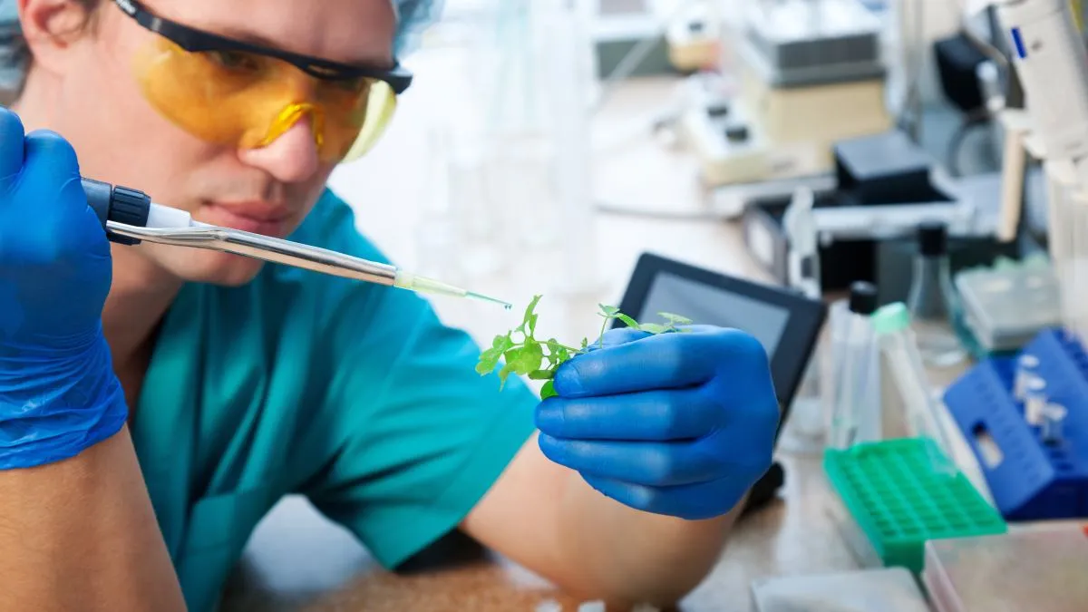 Zdjęcie Biologia molekularna czym się zajmuje – kluczowe aspekty i odkrycia
