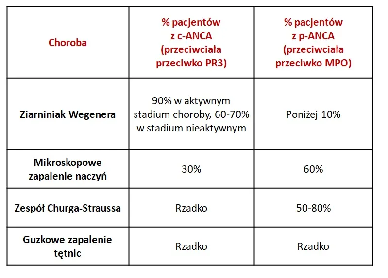 Zdjęcie ANCA – jakie to badanie i dlaczego jest tak ważne w diagnostyce?