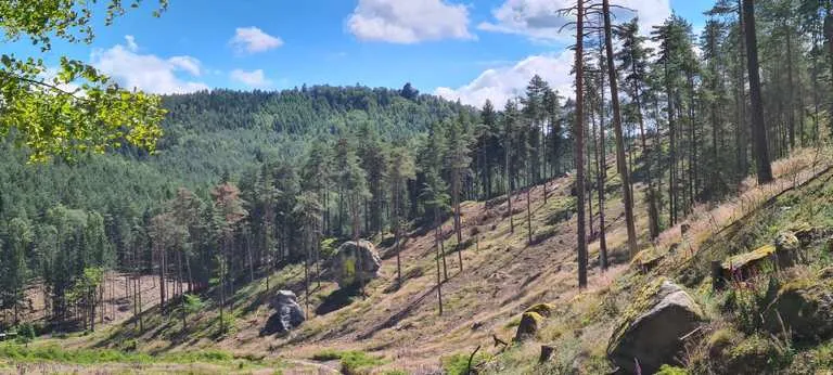Zdjęcie Zittau atrakcje: Odkryj ukryte skarby i nie przegap ich!