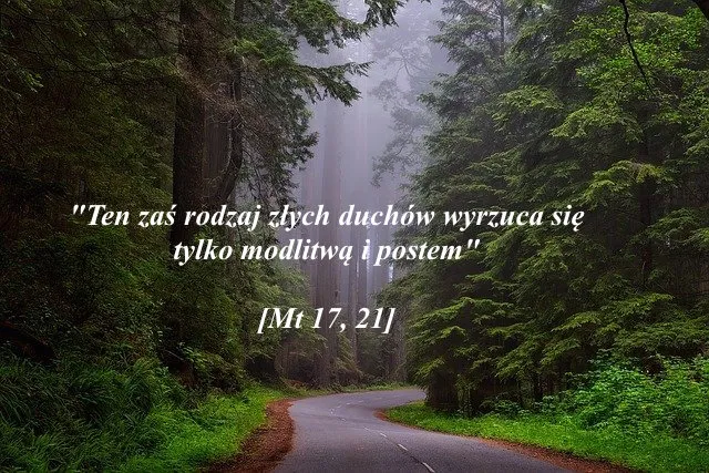 Zdjęcie Nieznane cytaty z Biblii: 10 wersetów, które Cię zaskoczą