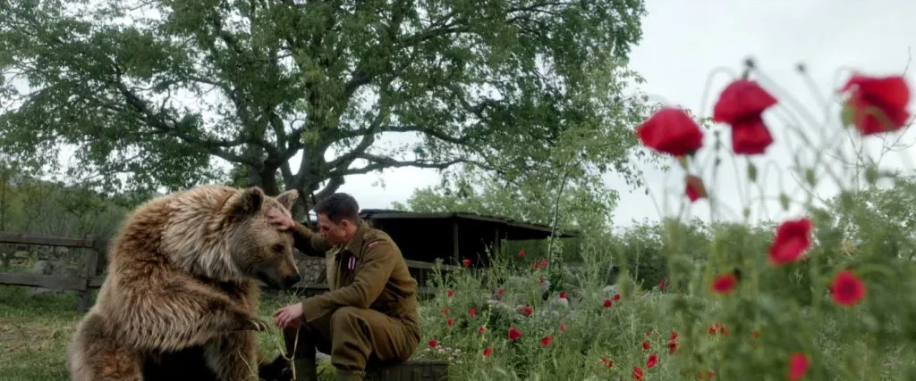Zdjęcie Gdzie kręcono film Czerwone maki? Zobacz niesamowite lokacje i ich historie!