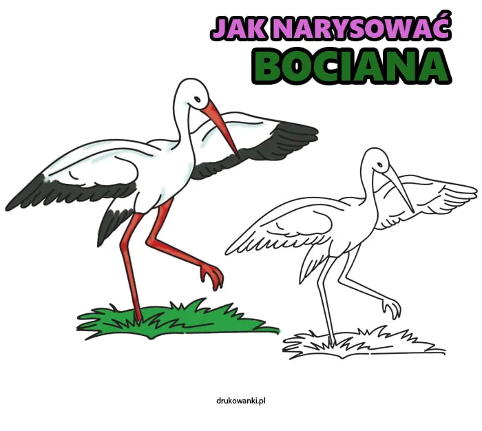 Zdjęcie Naucz swoje dziecko jak narysować bociana - prosty poradnik krok po kroku