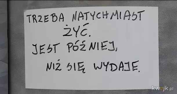 Zdjęcie Poznaj śmieszne myśli dnia, które natychmiast poprawią Ci humor
