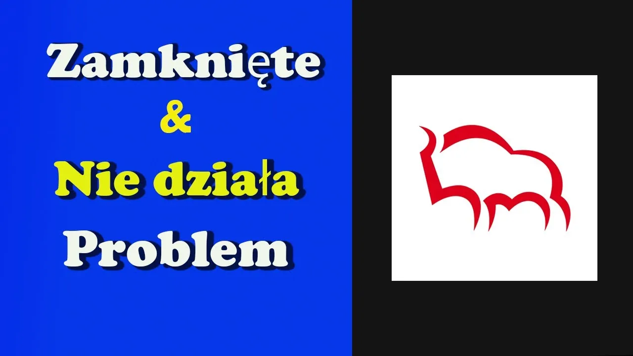 Zdjęcie PeoPay nie działa? Rozwiąż problemy i znajdź alternatywy