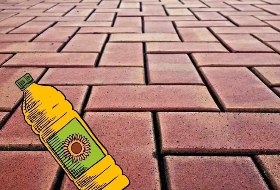 Zdjęcie Skuteczne sposoby na to, czym zabezpieczyć kostkę brukową przed uszkodzeniami