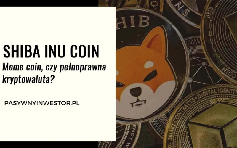 Zdjęcie Shiba Inu kryptowaluta: dlaczego warto inwestować i co musisz wiedzieć
