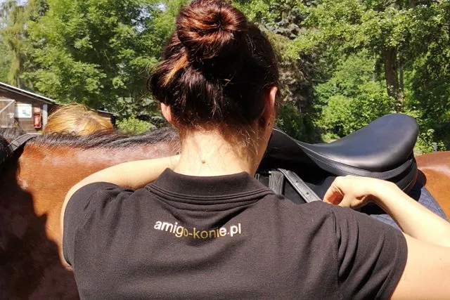 Zdjęcie Klub jeździecki Amigo w Będzinie – najlepsze lekcje jazdy konnej