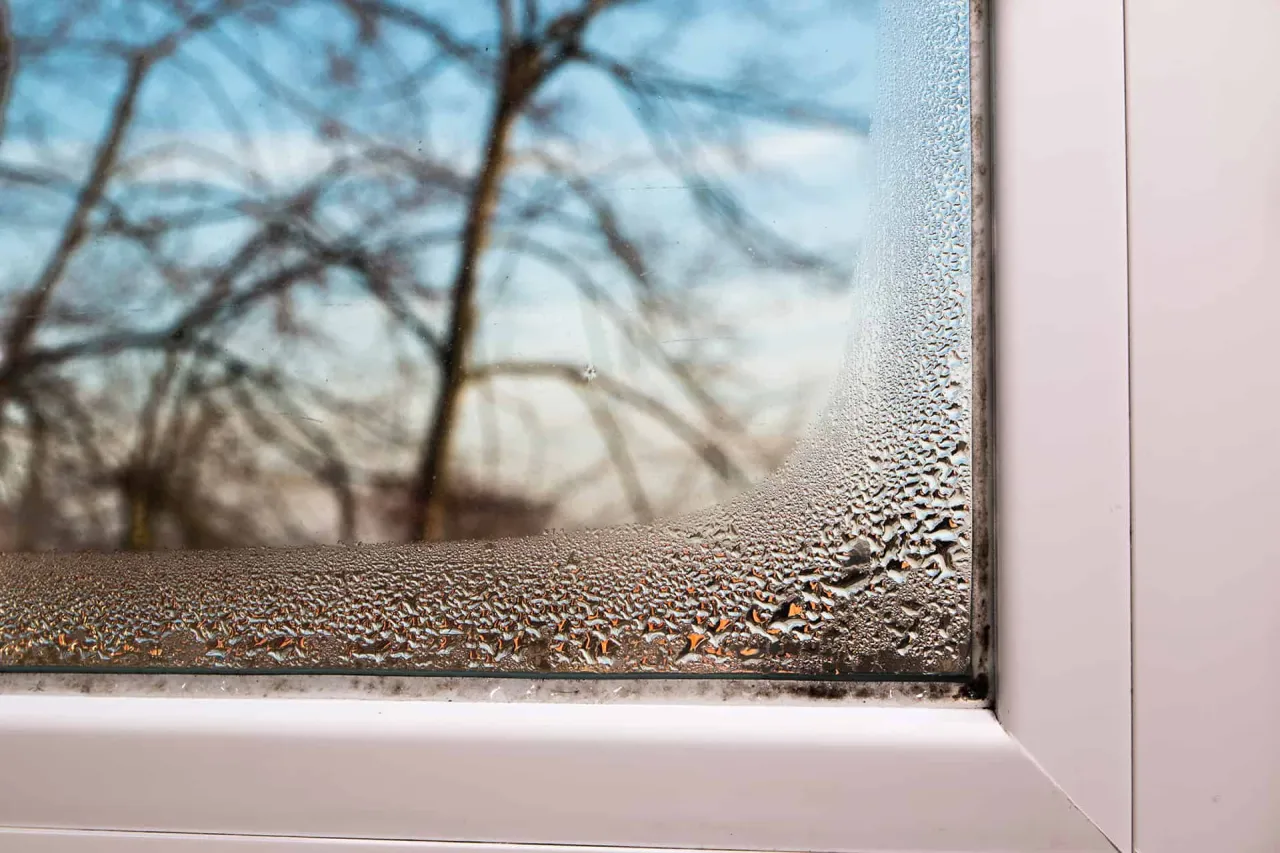Zdjęcie Skuteczne metody na usunięcie pleśni z uszczelki okna w 5 krokach