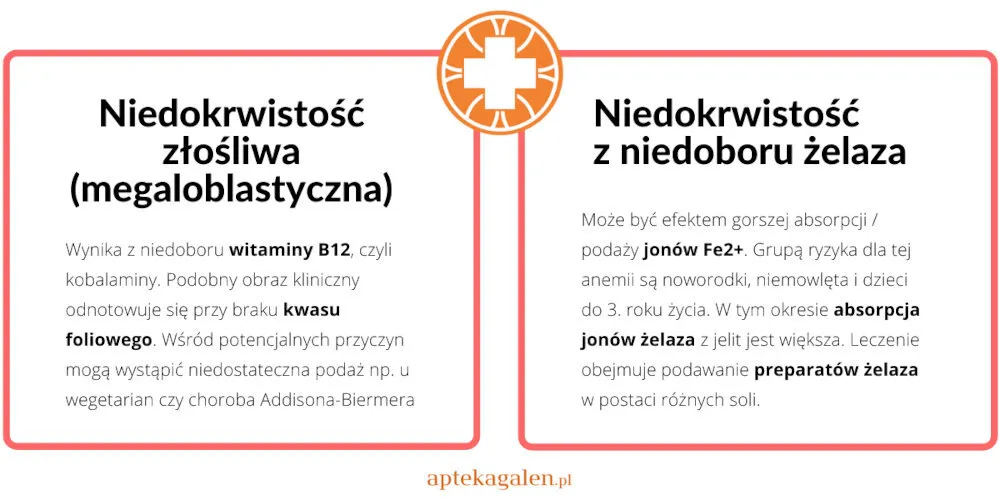 Zdjęcie Jakie badania pomagają w diagnostyce anemii i co warto wiedzieć