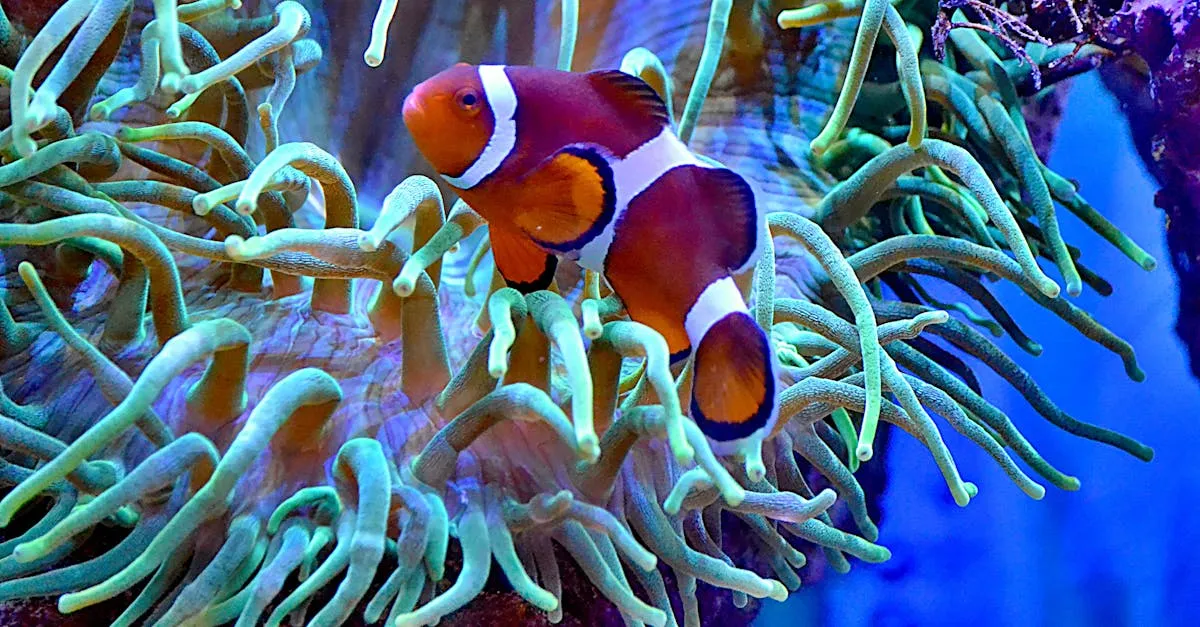 Zdjęcie Oceanarium Trójmiasto: Podwodny świat w sercu Gdyni
