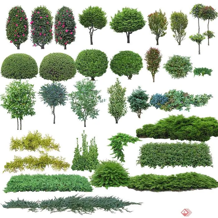 Zdjęcie Los mejores nombres de arbustos con flor para embellecer tu jardín