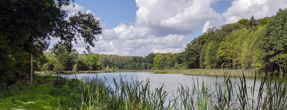 Zdjęcie Łowisko Woliczno – idealne miejsce na wędkowanie z rodziną i przyjaciółmi