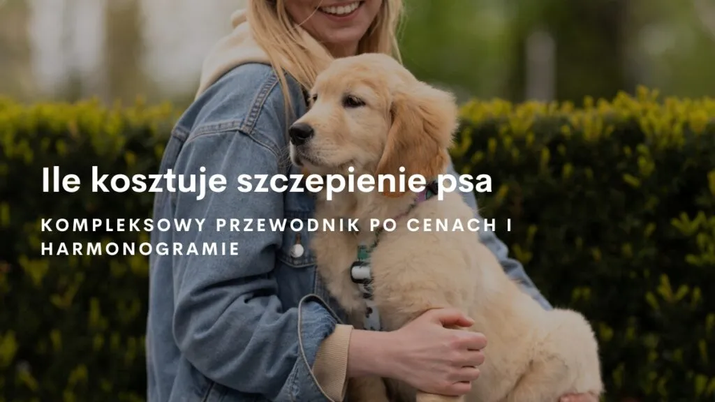 Zdjęcie Ile kosztuje szczepienie szczeniaka? Poznaj cennik i harmonogram szczepień