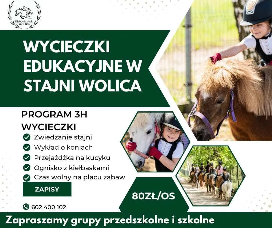 Zdjęcie Katowicki klub jeździecki - idealne miejsce na naukę jazdy konnej