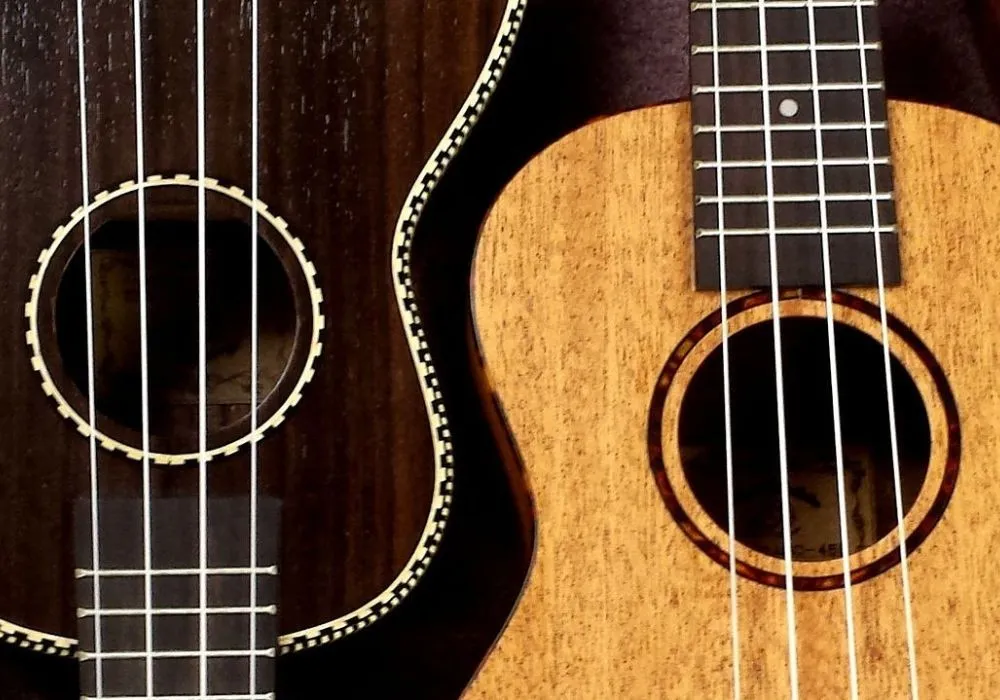 Zdjęcie Jakie struny do ukulele wybrać? Kompletny poradnik dla muzyków