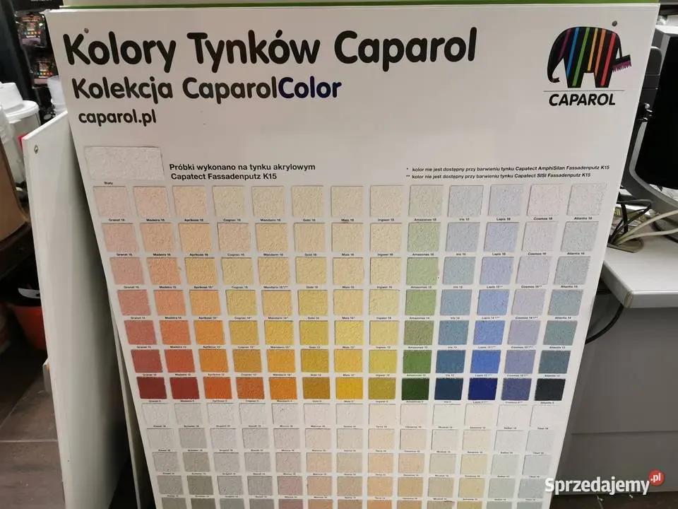 Zdjęcie Tynk silikonowy Kabe czy Caparol – który wybór jest lepszy dla Ciebie?