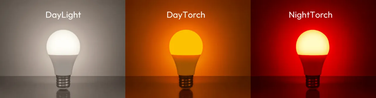 Zdjęcie Żarówka światło dzienne – popraw swoją koncentrację i zdrowie oczu