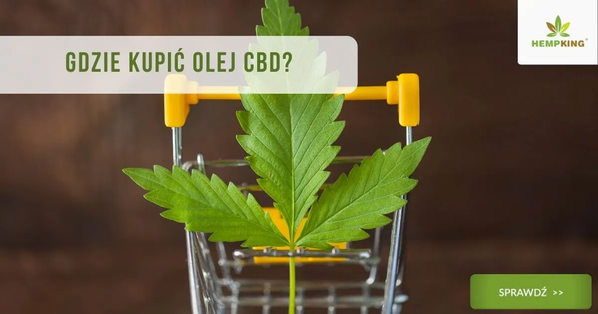 Zdjęcie Co to jest CBD w oleju konopnym? Kluczowe właściwości i zastosowania.