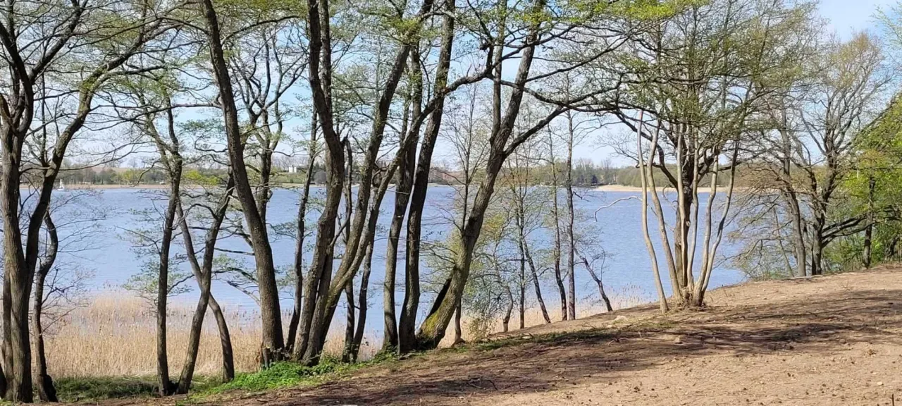 Zdjęcie Sprzedam działkę nad jeziorem pomorskie - idealna inwestycja w naturę
