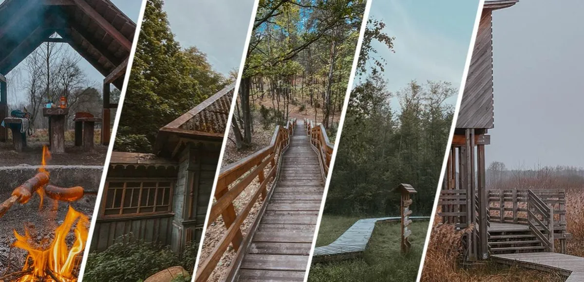 Zdjęcie Najlepsze atrakcje w puszczy kampinoskiej, które musisz zobaczyć