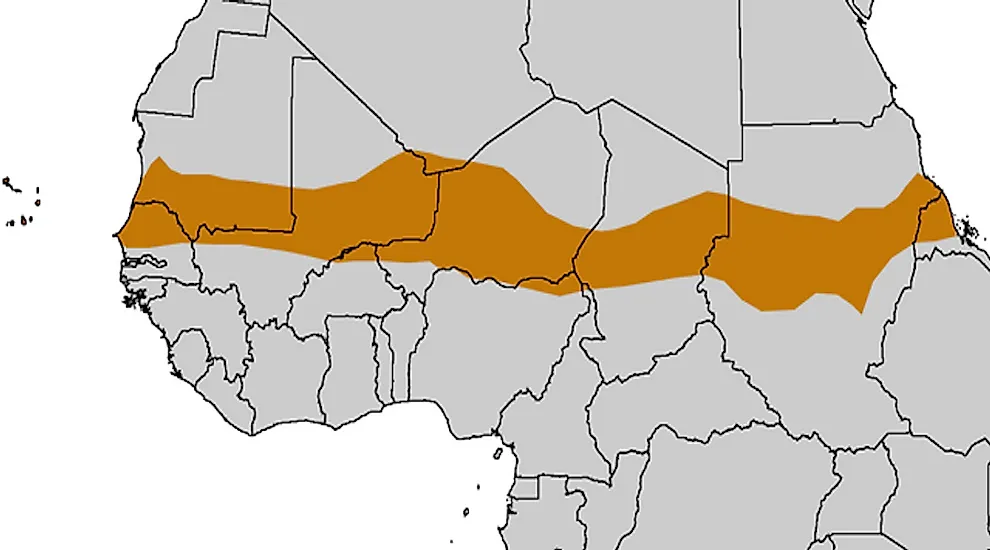 Zdjęcie Co to jest Sahel w Afryce? Geografia, klimat i wyzwania tego regionu