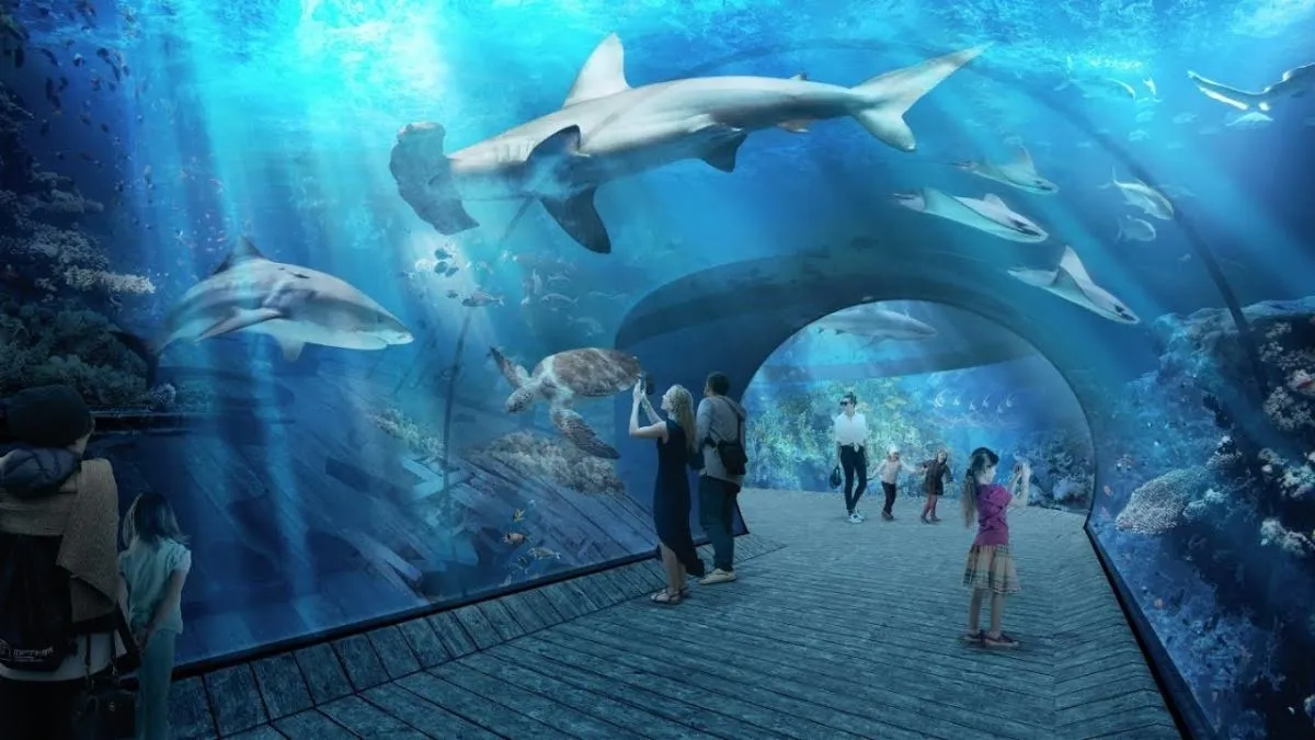 Zdjęcie Oceanarium w Gdańsku: Aktualny status budowy i planowane atrakcje