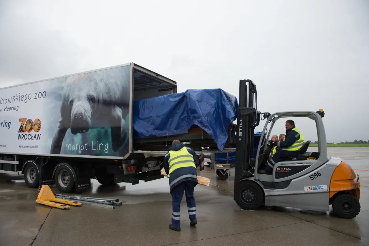 Zdjęcie Jak dojechać do Assa we Wrocławiu? Proste sposoby na transport