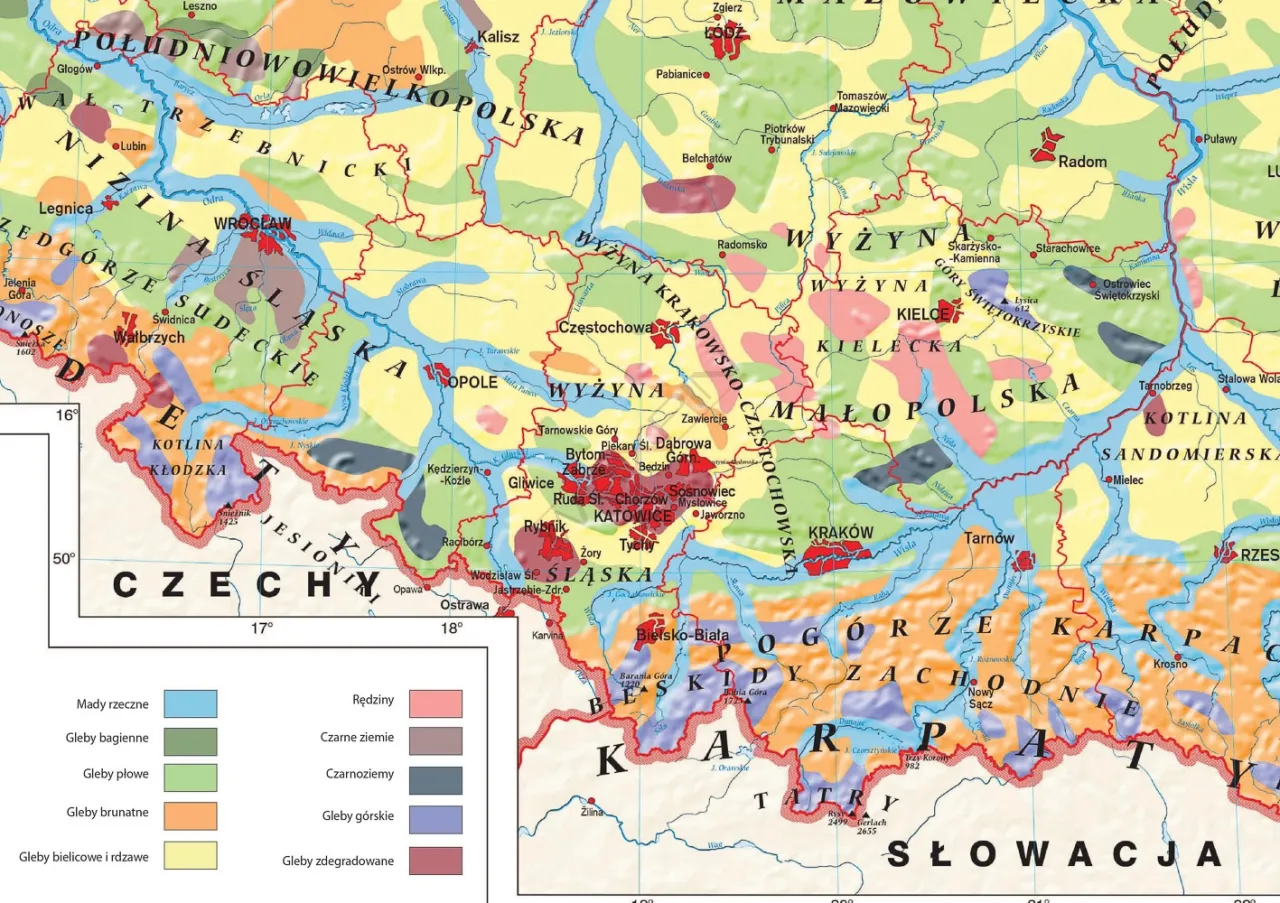 Zdjęcie Jakich gleb jest najwięcej w Polsce? Zaskakujące dane i statystyki