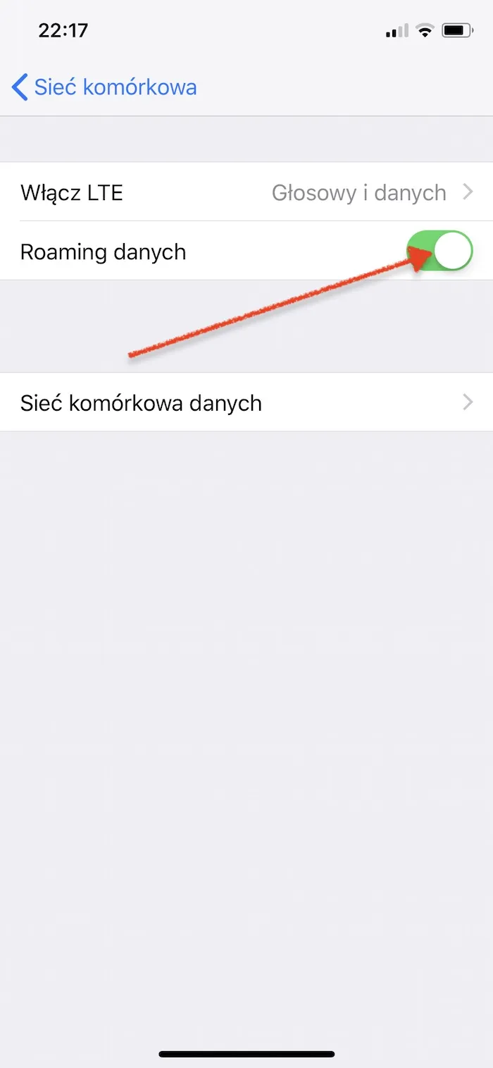 Zdjęcie Jak włączyć roaming w telefonie i uniknąć niepotrzebnych kosztów – prosty poradnik