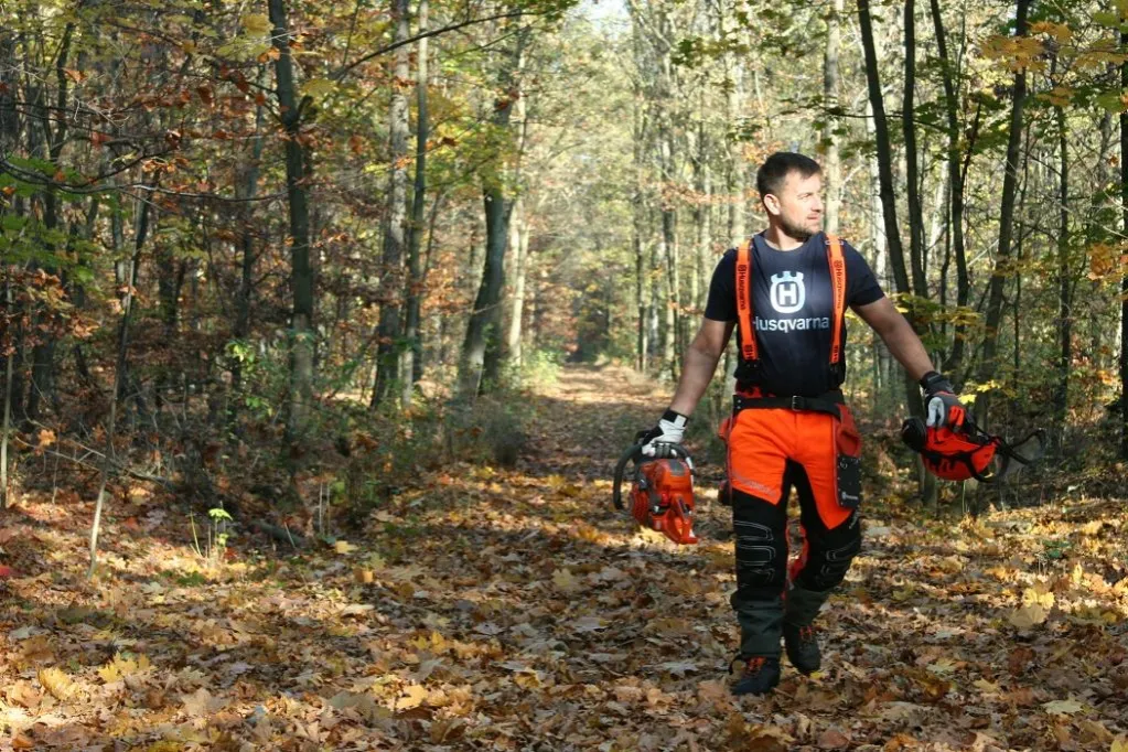Zdjęcie Ile bierze pilarz za wycięcie drzewa? Sprawdź, co wpływa na ceny