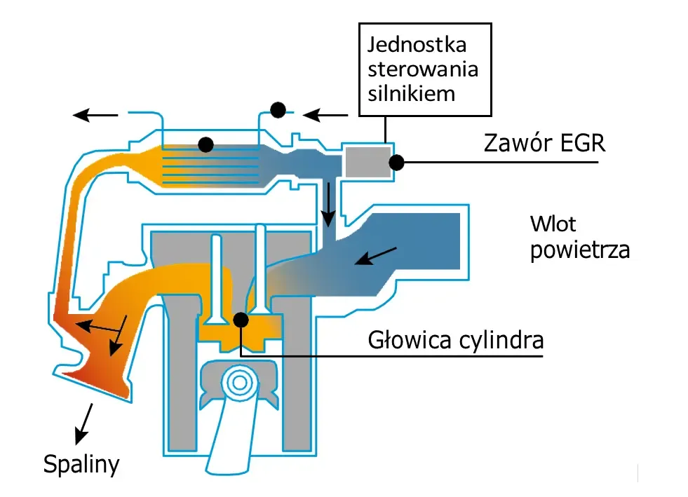 Zdjęcie Co to jest zawór EGR i jak wpływa na emisję spalin w silniku?