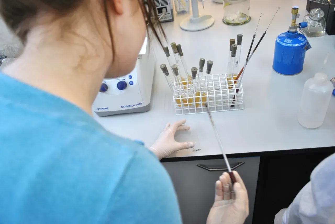 Zdjęcie Biologia sądowa czy warto? Odkryj korzyści i możliwości kariery
