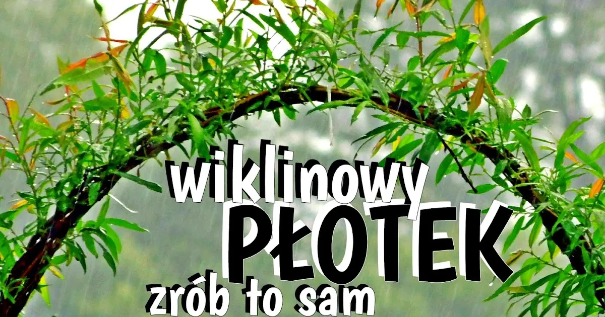 Zdjęcie Jak zrobić płot z gałęzi - proste sposoby na piękne ogrodzenie