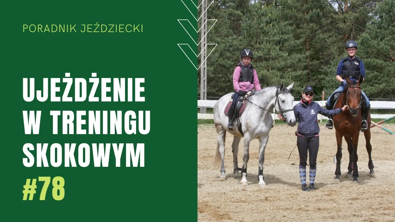 Zdjęcie Ujeżdżenie fundament jeździectwa: klucz do sukcesu w treningu koni