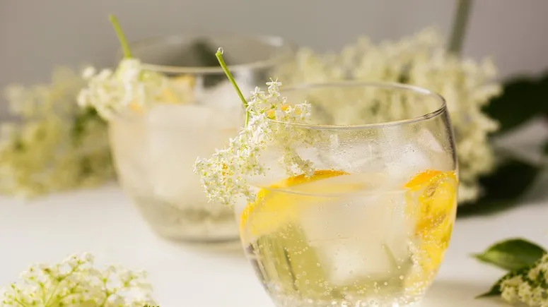 Zdjęcie Pyszne drinki z syropem z kwiatu czarnego bzu, które zachwycą smakiem