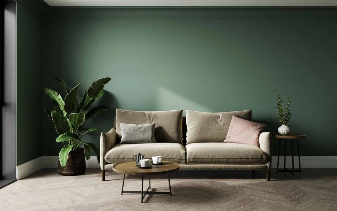 Zdjęcie Rośliny do cienia: Stw&oacute;rz zieloną oazę nawet w ciemnym pokoju