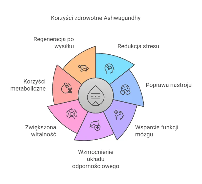 Zdjęcie Kiedy zażywać ashwagandhę, aby zwiększyć energię i poprawić sen
