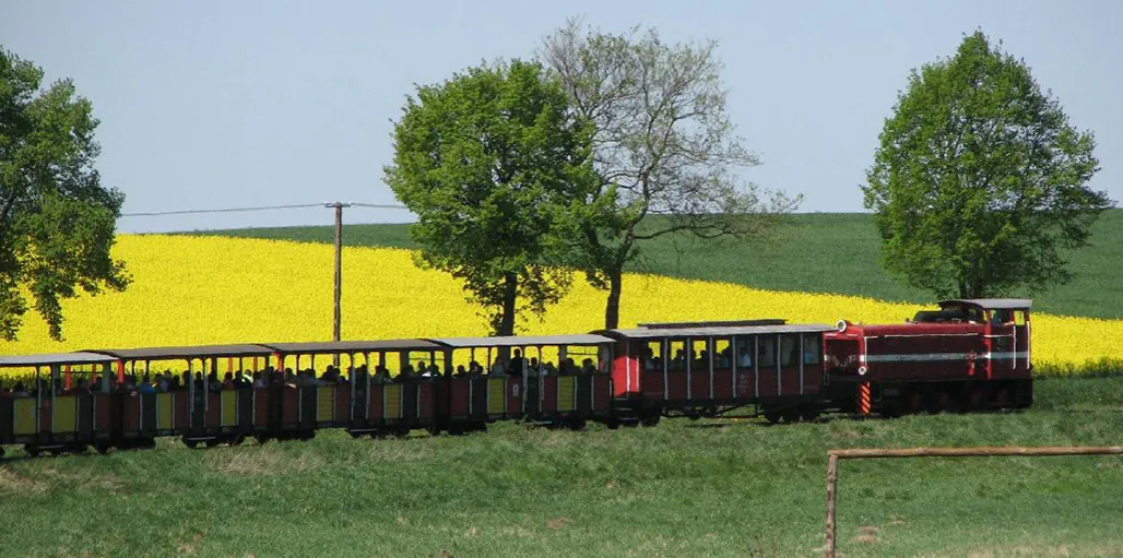 Zdjęcie Gąsawa atrakcje, które zaskoczą każdego turystę w regionie