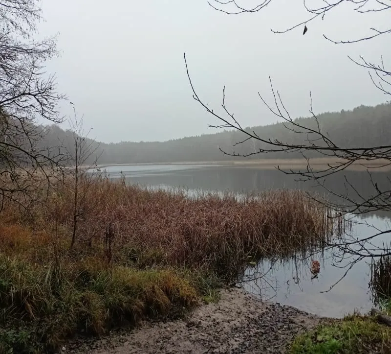 Zdjęcie Jezioro Okonińskie – odkryj jego piękno i atrakcje turystyczne