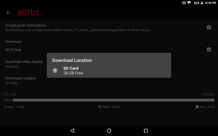 Zdjęcie Jak pobrać film z Netflixa na pendrive bez łamania zasad?