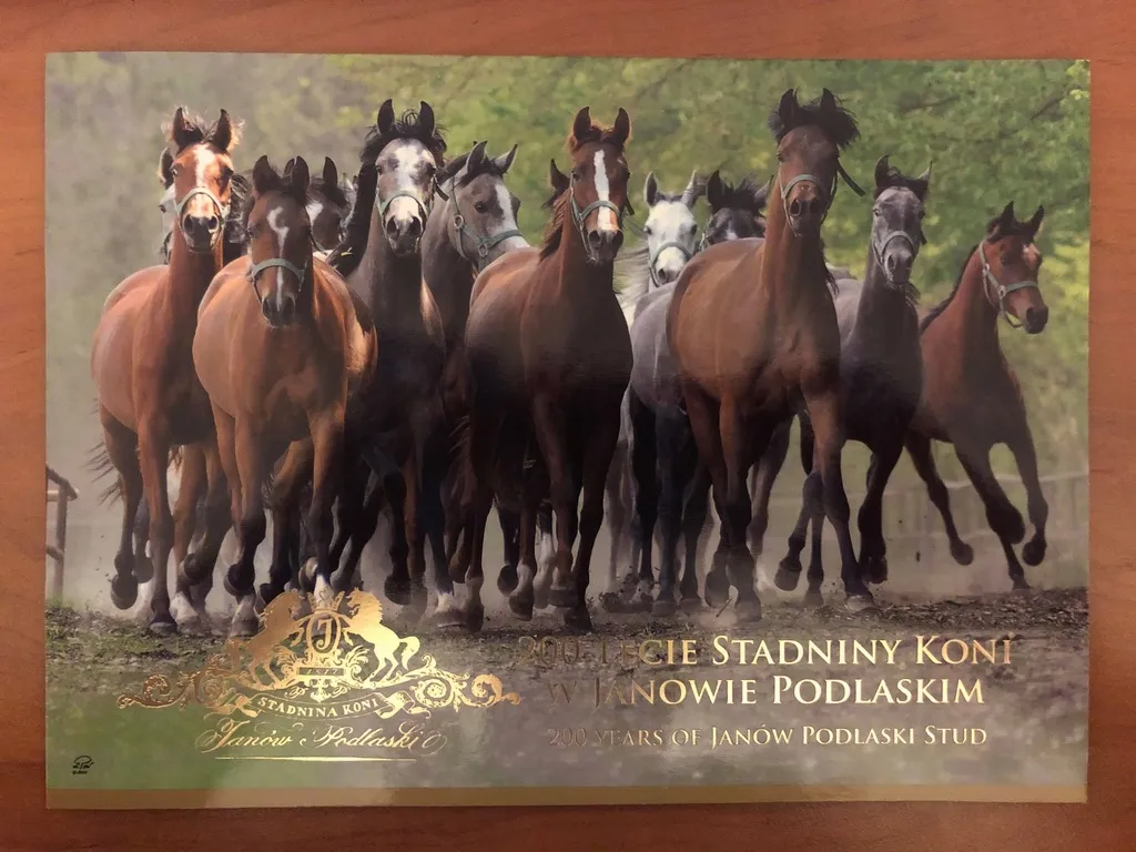 Zdjęcie 200 lecie stadniny janów podlaski - historia, wydarzenia i znaczenie