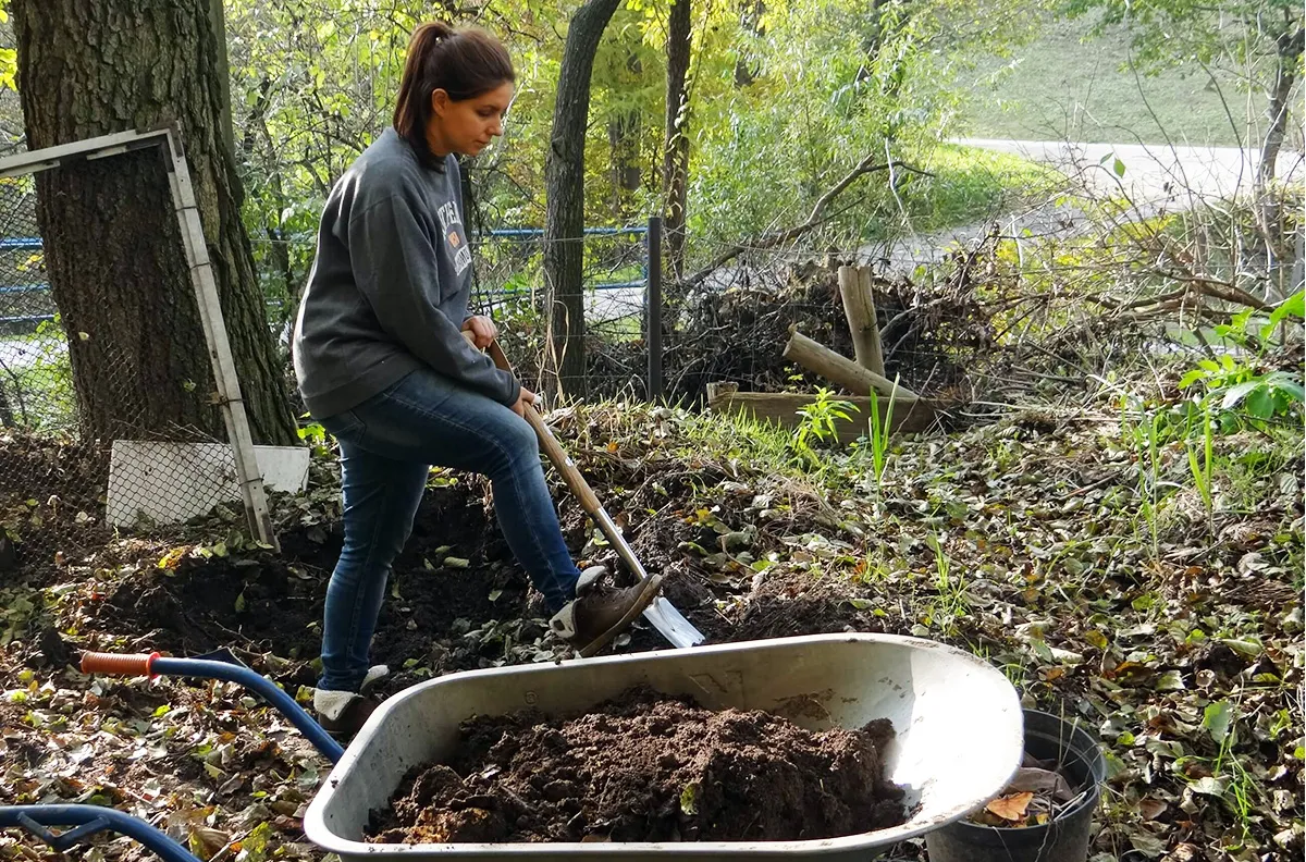 Zdjęcie Kiedy skopać działkę na zimę, aby uniknąć problemów z glebą?