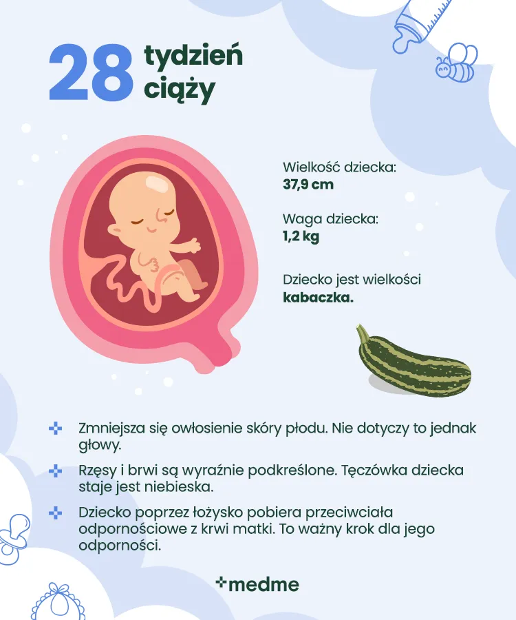 Zdjęcie Jak wygląda dziecko w 28 tyg ciąży? Rozwój i cechy płodu