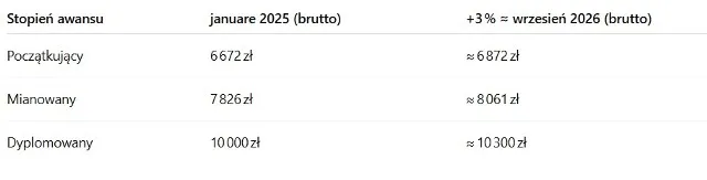 Zdjęcie Nauczanie indywidualne: Ile zarabia nauczyciel w 2026?