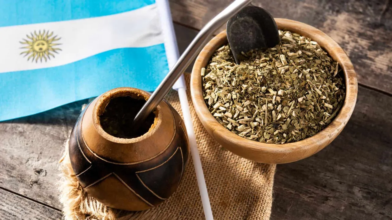 Zdjęcie Matcha czy yerba: Która herbata lepiej wpłynie na Twoje zdrowie?