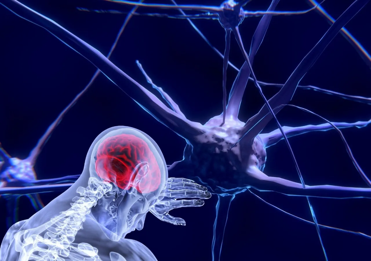 Zdjęcie Na czym polega rehabilitacja neurologiczna i jak może zmienić życie?